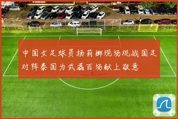中国女足球员杨莉娜现场观战国足对阵泰国为武磊百场献上敬意