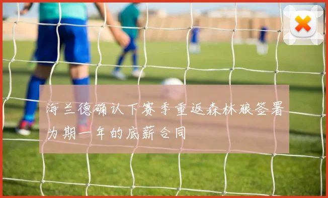 海兰德确认下赛季重返森林狼签署为期一年的底薪合同
